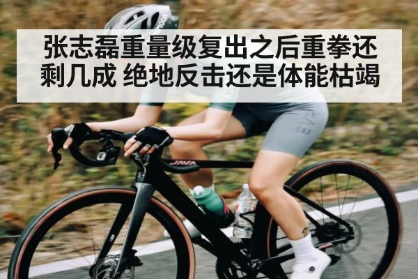 张志磊重量级复出之后重拳还剩几成 绝地反击还是体能枯竭
